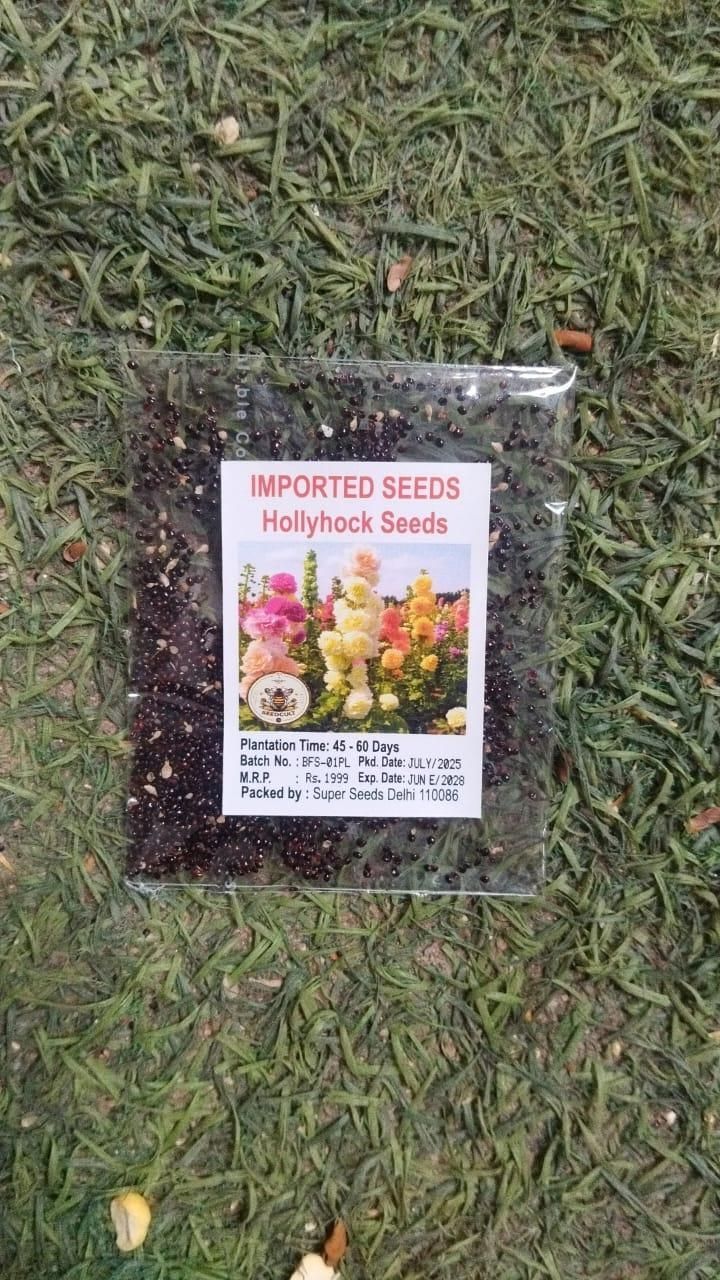 Imported Hollyhock Seeds - Mixed pastel colours (Pack of 100 grams)