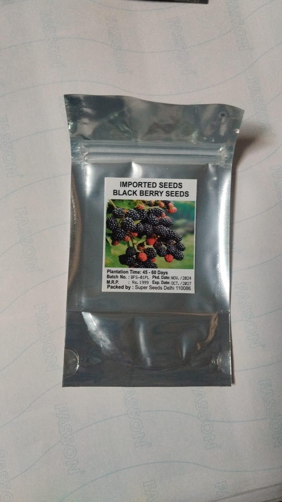 Sweet Giant Blackberries Seeds (Pack of 300 gms)